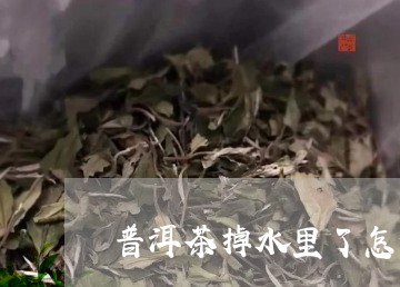 普洱茶掉水里了怎么办/2023061766141