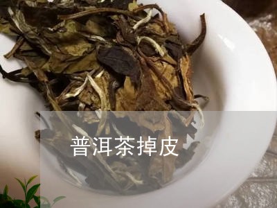 普洱茶掉皮/2023081728583