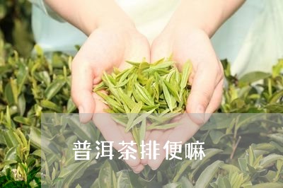 普洱茶排便嘛/2023042780766