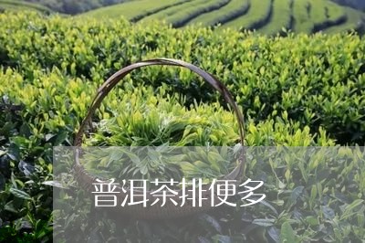 普洱茶排便多/2023042887577