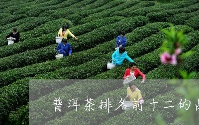 普洱茶排名前十二的品牌/2023121733928