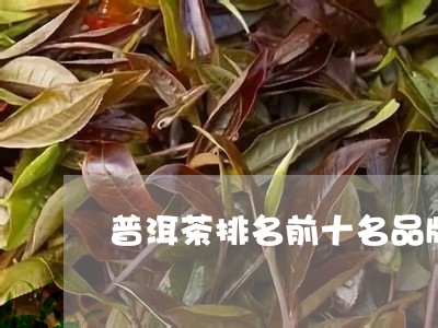 普洱茶排名前十名品牌有哪些/2023052935159