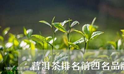 普洱茶排名前四名品牌是什么/2023082879592