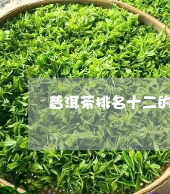 普洱茶排名十二的品牌/2023080104037