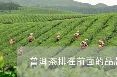 普洱茶排在前面的品牌/2023072429480