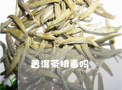 普洱茶排毒吗/2023042966920