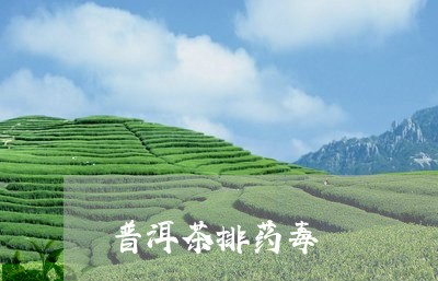 普洱茶排药毒/2023042850883