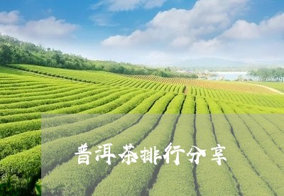 普洱茶排行分享/2023102636241