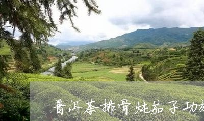 普洱茶排骨炖茄子功效/2023062984137