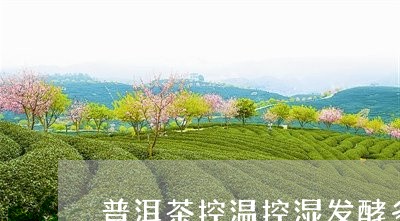 普洱茶控温控湿发酵多久/2023103102838