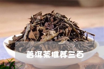 普洱茶推荐三百/2023082648793