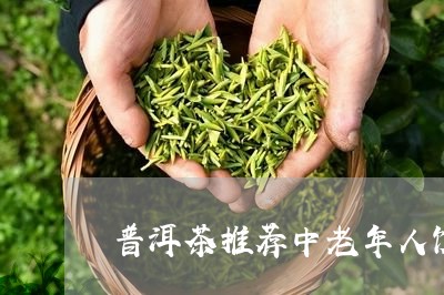 普洱茶推荐中老年人饮用/2023110668303