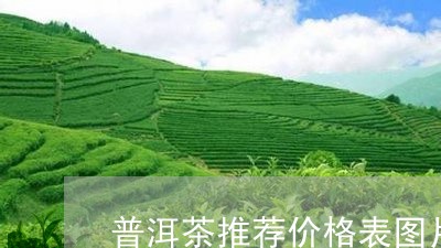 普洱茶推荐价格表图片及价格/2023110694936