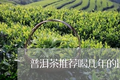 普洱茶推荐喝几年的最好/2023050741705