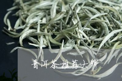 普洱茶推荐大牌/2023110649361