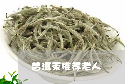 普洱茶推荐老人/2023083068490