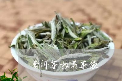 普洱茶推荐茶袋/2023121718271