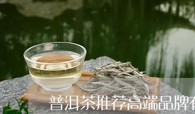 普洱茶推荐高端品牌有哪些/2023112682717