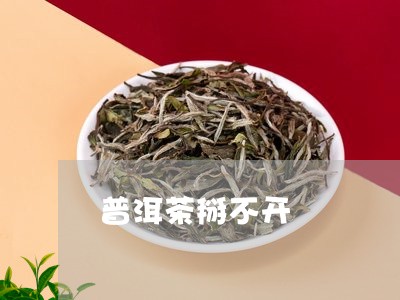 普洱茶掰不开/2023042943081