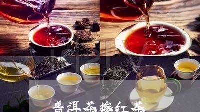 普洱茶掺红茶/2023042717622