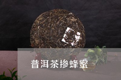 普洱茶掺蜂蜜/2023042694139