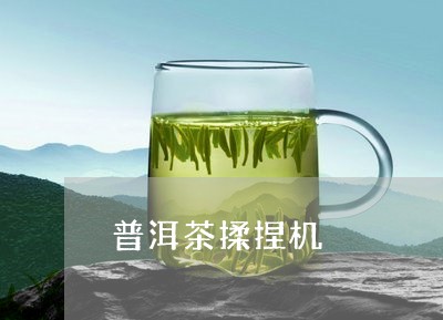 普洱茶揉捏机/2023042826433