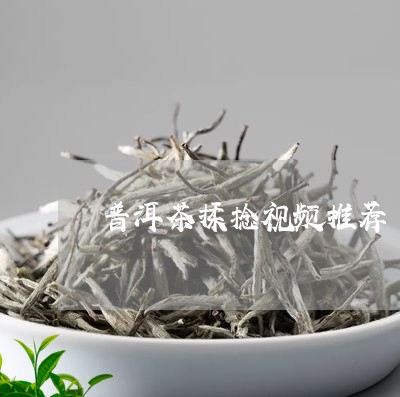 普洱茶揉捻视频推荐/2023091345148