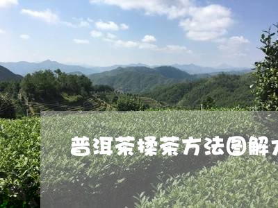 普洱茶揉茶方法图解大全/2023120759384