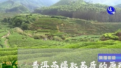 普洱茶提取基质的原理是/2023102498479