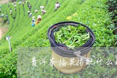 普洱茶插花搭配什么好听/2023121762827