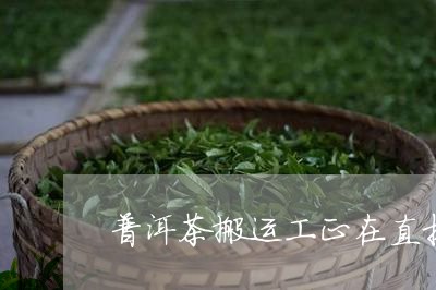 普洱茶搬运工正在直播/2023120617480