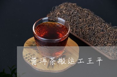 普洱茶搬运工王平/2023112600805