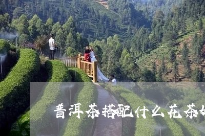 普洱茶搭配什么花茶好/2023100551815