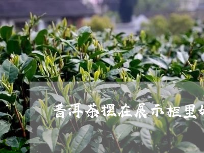 普洱茶摆在展示柜里好吗/2023081654856