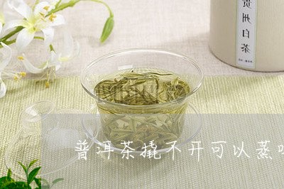 普洱茶撬不开可以蒸吗/2023062478272