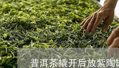 普洱茶撬开后放紫陶罐里/2023082792836