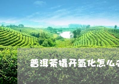 普洱茶撬开氧化怎么办呢/2023102482617