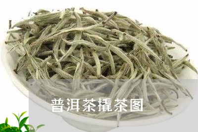 普洱茶撬茶图/2023042801612