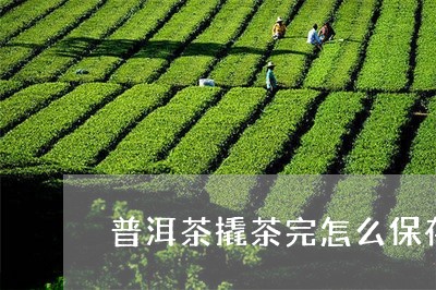 普洱茶撬茶完怎么保存/2023100786250