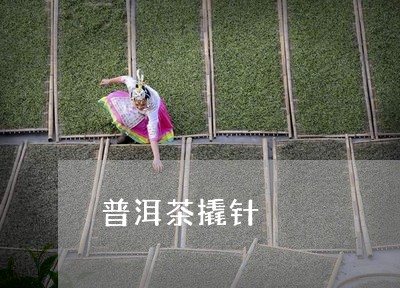 普洱茶撬针/2023102536159