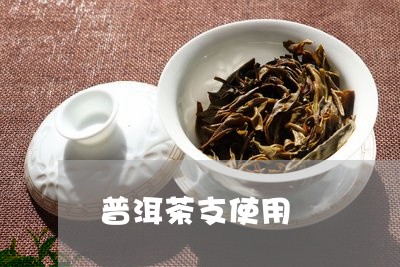 普洱茶支使用/2023042654254