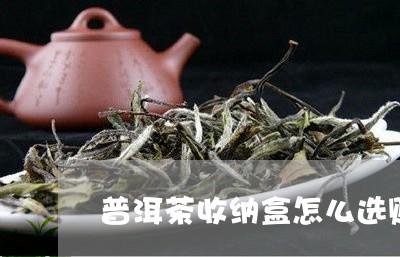 普洱茶收纳盒怎么选购的/2023101793704