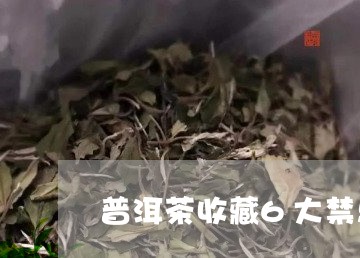 普洱茶收藏6大禁忌/2023101738471