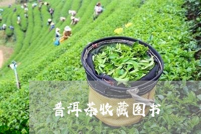 普洱茶收藏图书/2023120326958