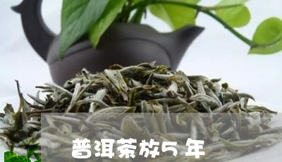 普洱茶放5年/2023042869915