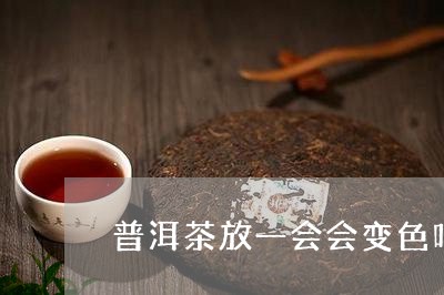 普洱茶放一会会变色吗/2023092816262