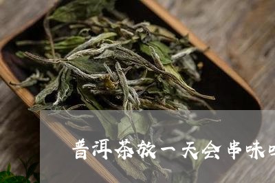 普洱茶放一天会串味吗/2023092659404