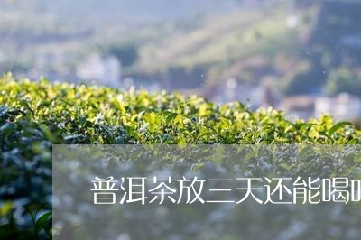 普洱茶放三天还能喝吗/2023072226392