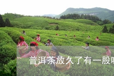 普洱茶放久了有一股味/2023092661515