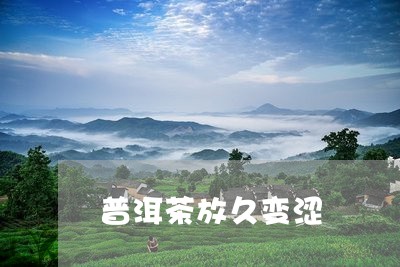 普洱茶放久变涩/2023101667369